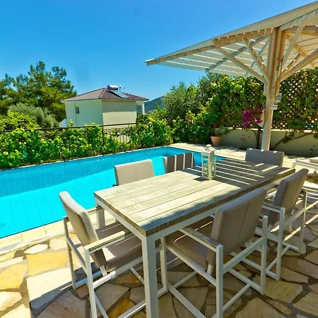 Thassian Villa